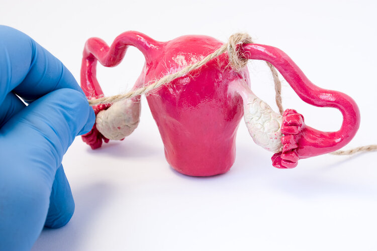 39健康网|重磅研究：TIL疗法消灭晚期肺癌肿瘤，免疫细胞杀灭肿瘤或可实现