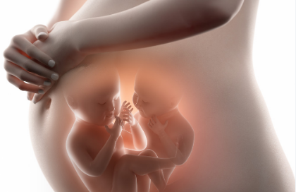 蕾蕾妈|孕期九个月这些不可不知