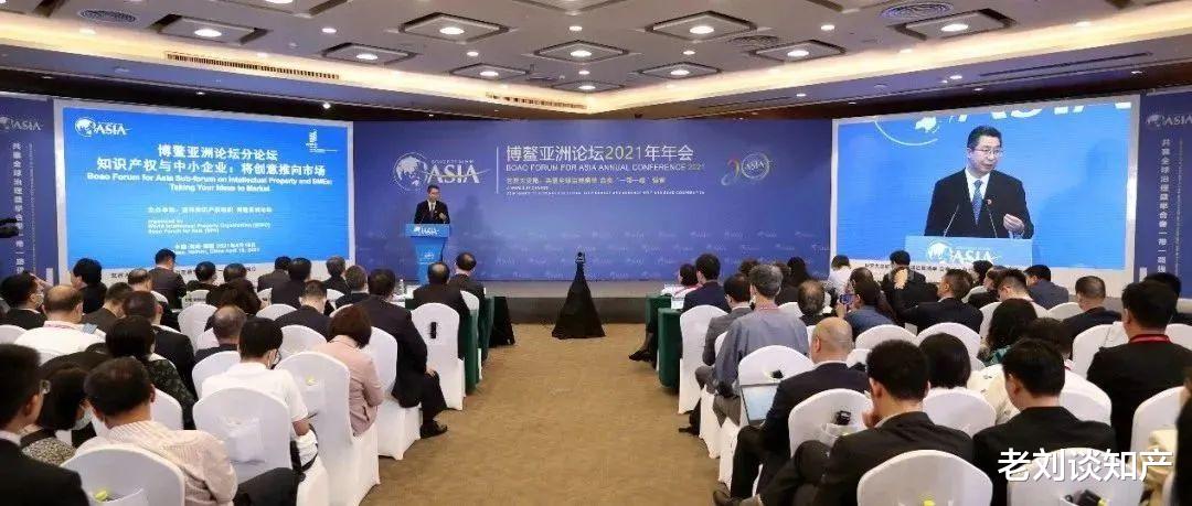 老刘谈知产 博鳌 申长雨:加强知识产权保护,更好地促进中小企业的创新发展