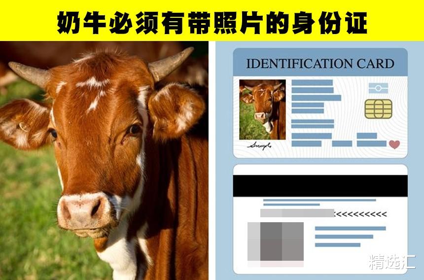 为什么说印度是独一无二的存在?关于印度的10个冷知识