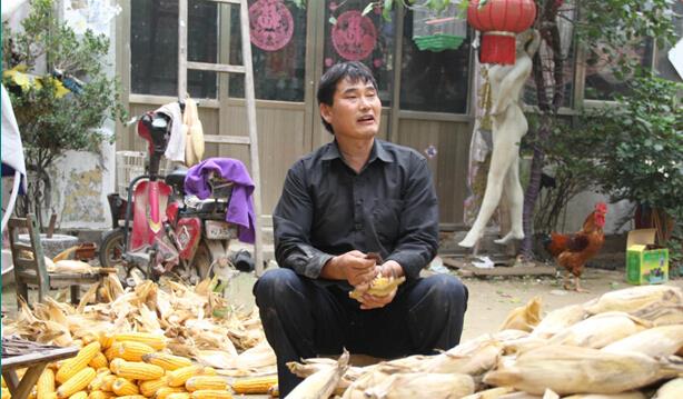 一只麦兜 大衣哥朱之文一场商演几十万，妻子依旧保持常态，蒸馒头卖玉米