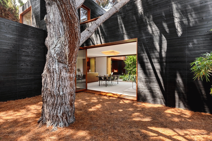 一对夫妻，买了块地，造了个有归属感的家，一起慢慢变老