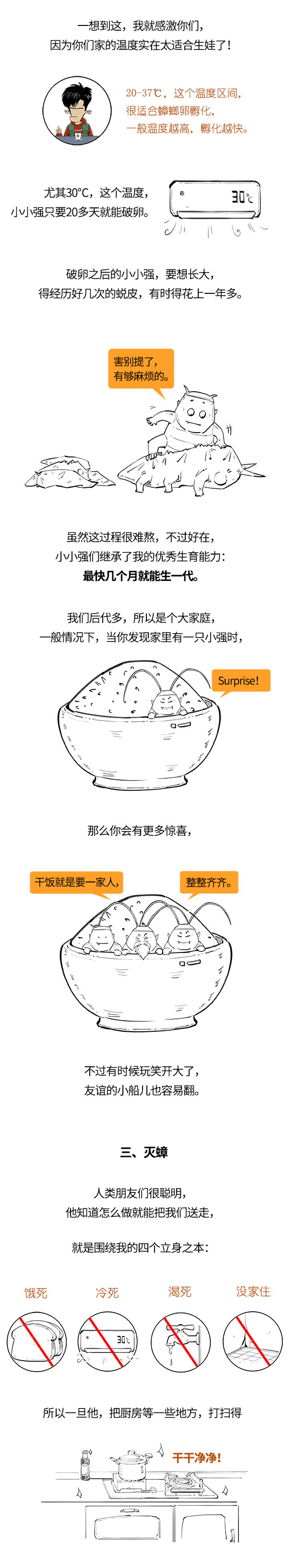 蟑螂 蟑螂：人类是我最好的朋友！