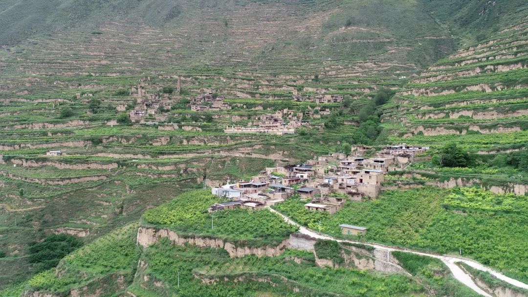 成都快报 绿色成为4084平方公里最亮的底色，汶川保生态也是保民生！