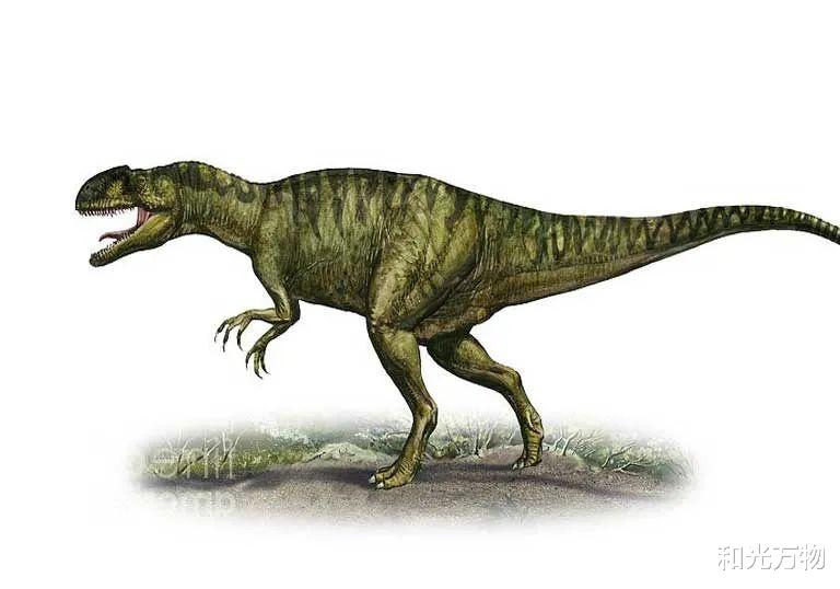 和光万物|中生代鲨齿龙恐龙,锯齿状牙齿、长达8米,曾与霸王龙分庭抗礼!
