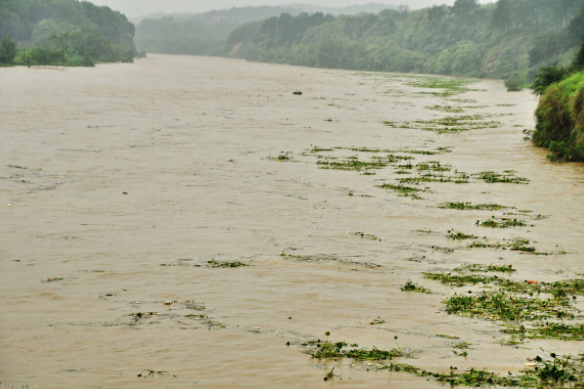 环球视野秘闻|2030或将出现全球性大洪水，NASA发出警告，诺亚方舟或成现实？
