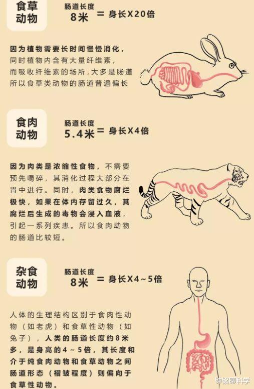 智人 地球本没有人,第1个男人和女人是怎么出现的?最早出现在哪里?