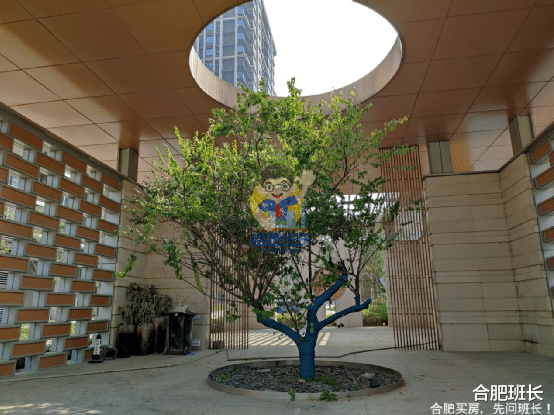 长沙|“洋房之父”是否名副其实？实探省府北的金科博翠天辰！