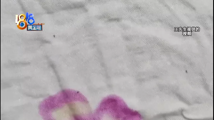 二房东|有床不睡 睡飘窗，说是对床有了阴影