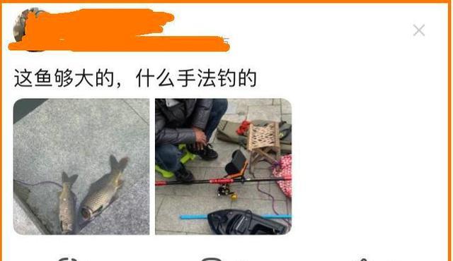 日本|天津河道边，有人用“高科技”频频钓大鱼，当街售卖150一条