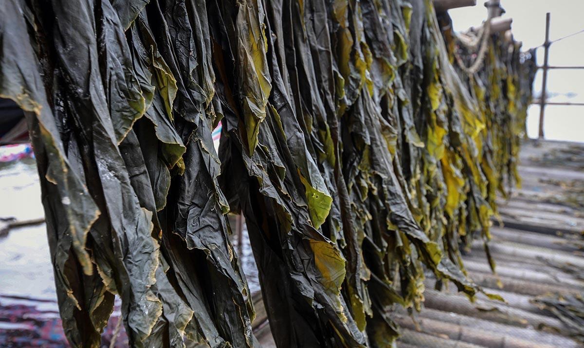 针灸|冬至前后，这3种“碱性食物”要常吃，头发乌黑，口气清新，实用