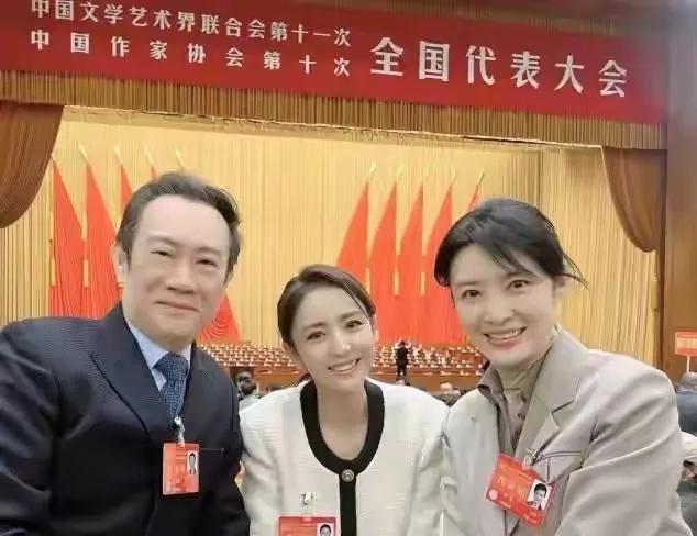 佟丽娅|文代会现场!佟丽娅打扮端庄认不出,周冬雨变陪衬刘涛摆拍太明显