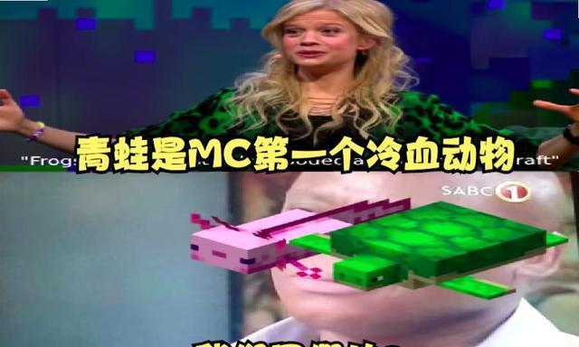 我的世界|我的世界：Mojang的拖更秘诀，找到了！修复漏洞，提出更好的内容