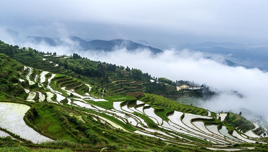 行星秘闻|浙江一“悲惨”钉子户,不听劝说索要高额赔款,结果惨被放弃