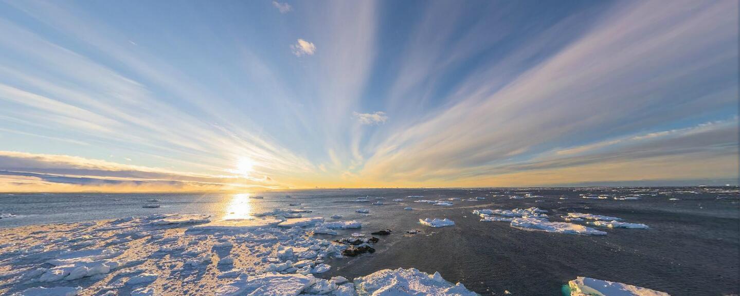 卫星 虎鲸VS北极熊，谁才是北极最强的顶尖掠食者？