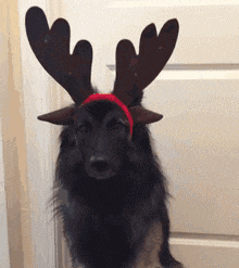 萌控孩|女朋友和她的闺蜜喝多了直接躺地上,我到底该怎么办呢?哇哈哈