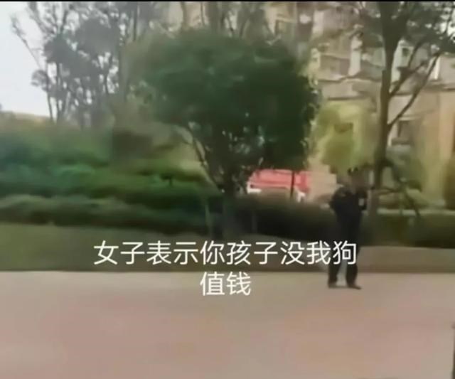 程凌云|敢弄狗我就弄你孩子！安徽一女子大街上狂言，疑为餐饮公司老板娘