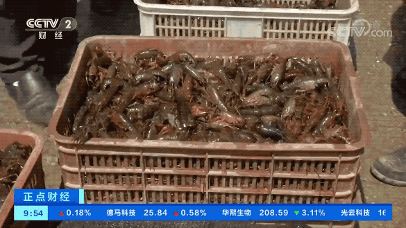 新晚报 终于！大降价！很多哈尔滨人爱吃