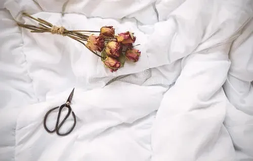 诚然命理 枕头下面千万别放这5种东西，不然会走厄运！