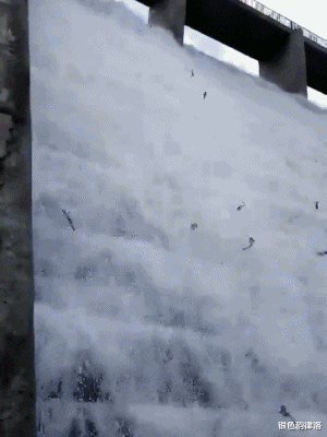 “酒店卫生间开始有这种椅子了?这是用来干嘛的?”