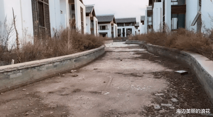 李亚鹏|实拍李亚鹏投资的烂尾楼，杂草比人还高，一片荒凉