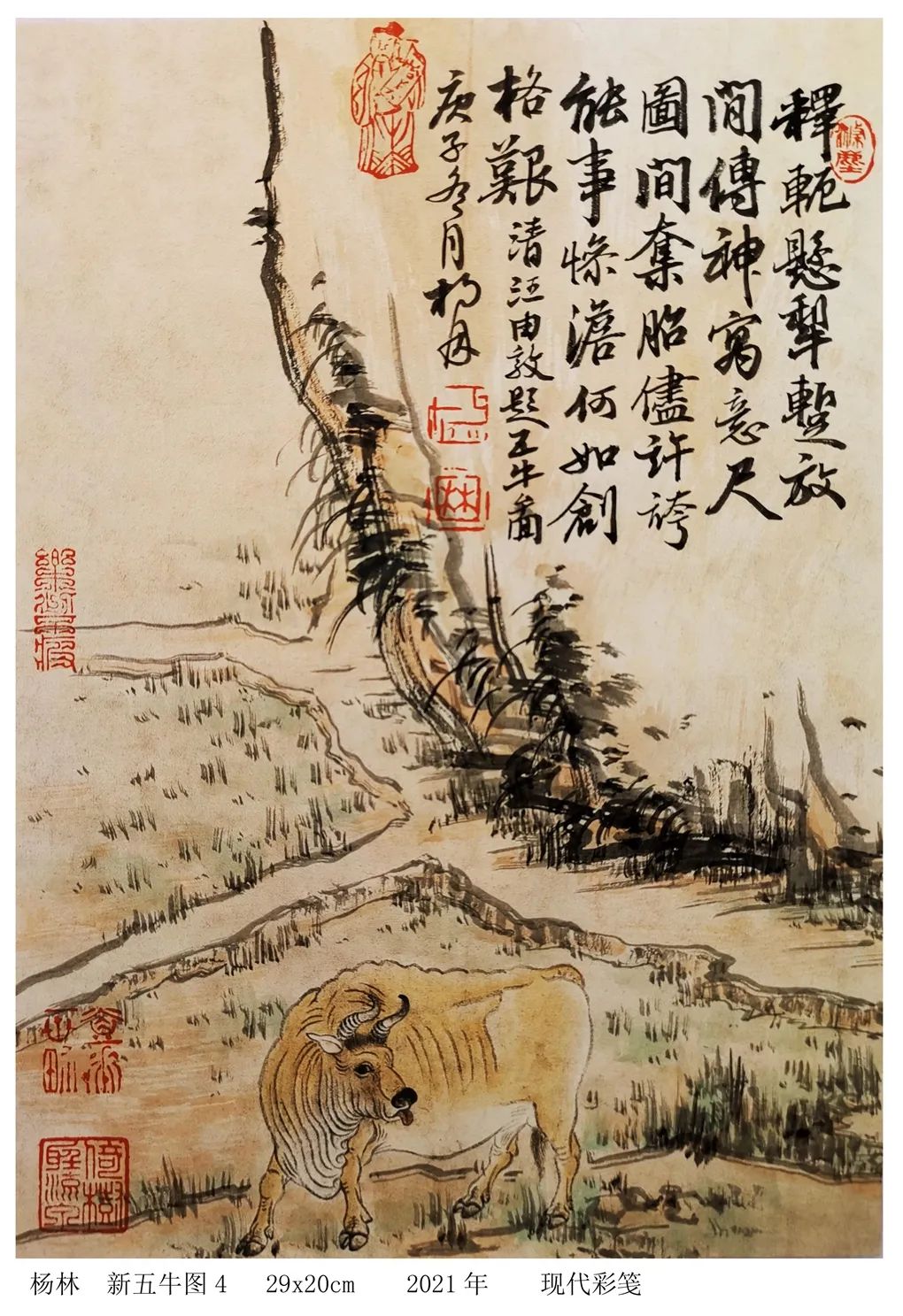 五牛图|牛年画牛！画家杨林对画韩滉《五牛图》