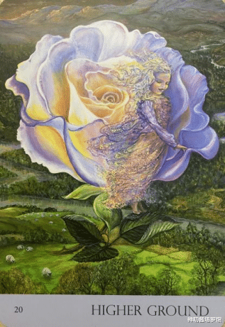 神叨酱塔罗馆|神叨酱：8.21心灵运势指引