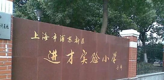 浦东新区|仅248套！浦东金桥低密墅区全新盘190-1200平中式院墅