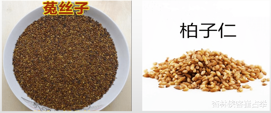 胆固醇|阴阳两虚？一味斑龙丸，阴阳共济、肝肾同调