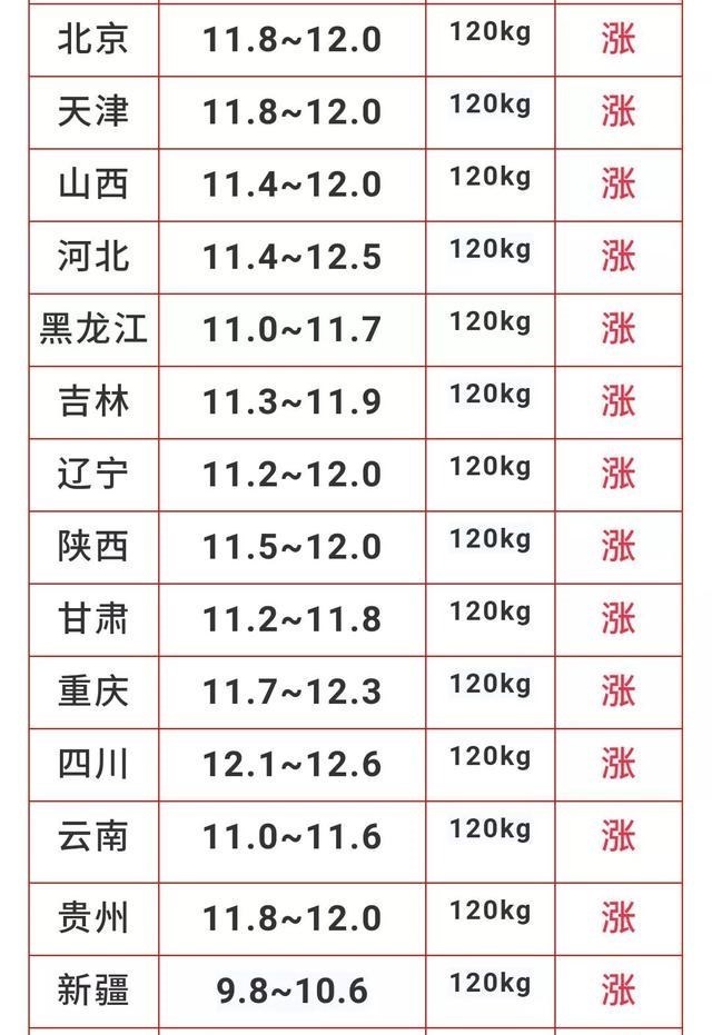 蛋价 猪价持续暴涨，蛋价快速破4！为何大涨？飞天猪、火箭蛋稳了？