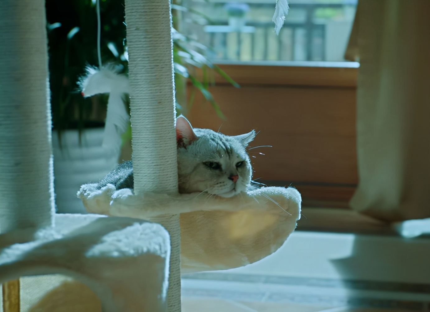 朱亚文|上线1天成飙升榜第一！朱亚文新剧都压不住，丁嘉文王炸剧不简单