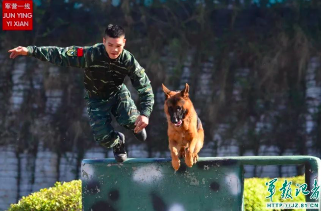 电影|郑爽被封杀半年后，娱乐圈又爆猛料：为拍电影竟害死一条命，他早该滚了！