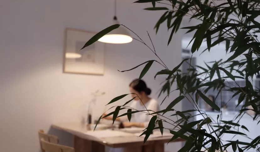 喜物喜家 湖南单亲妈妈晒出独居小家，98平温馨质朴，一人一娃也有诗和远方