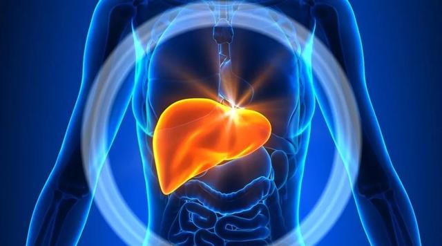 蔬菜|日本人经常喝酒,为什么肝脏很健康?提醒:2个因素很重要