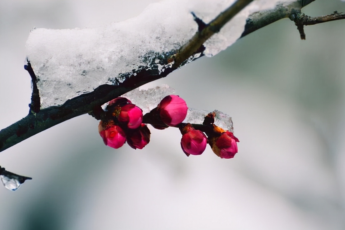 张雪迎|共享过三样东西，往往是男女关系不再纯洁的证据，别假装了