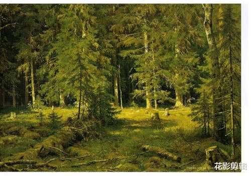 花影剪辑 农民砍自家种的树还要被判刑