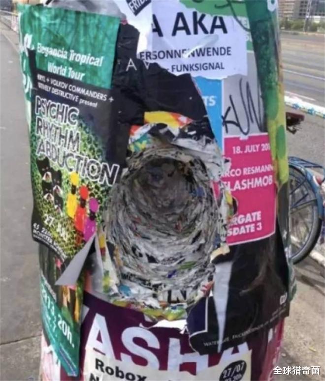 全球猎奇菌 32张照片告诉你，时间的力量有多恐怖