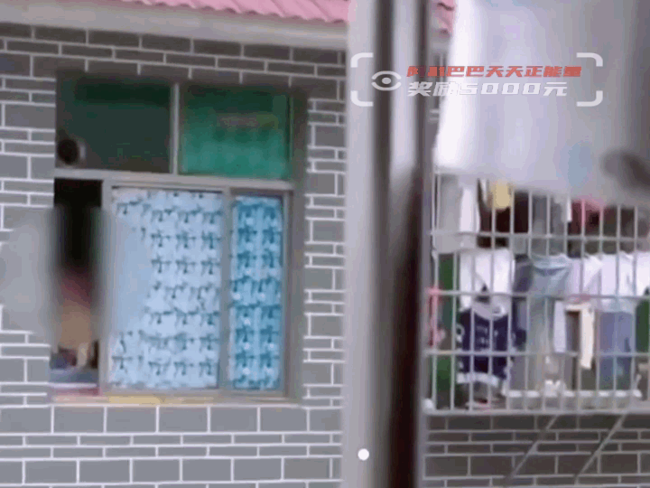 “小朋友,快退回去!”冷风里,她的声声嘶喊,挽救了一个家庭!