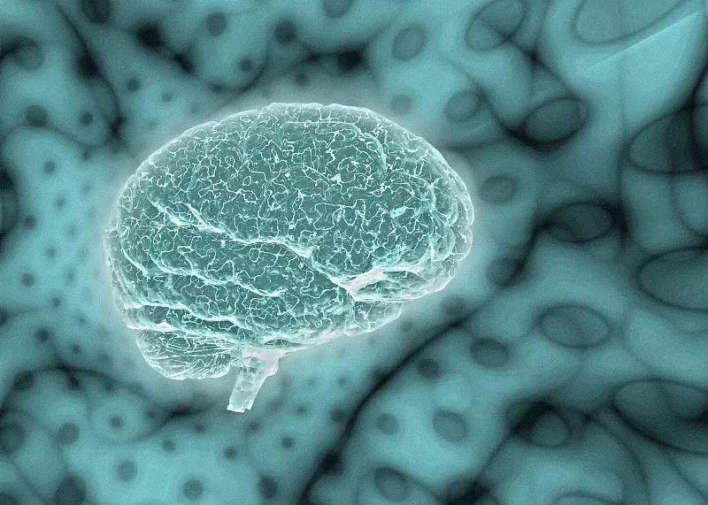  研究综述：干细胞治疗神经系统疾病是合适的临床候选