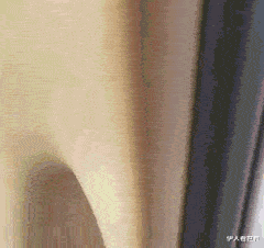 隔离|“如果没有生殖隔离,地球会变成什么样?”神评可真敢想啊,哈哈哈