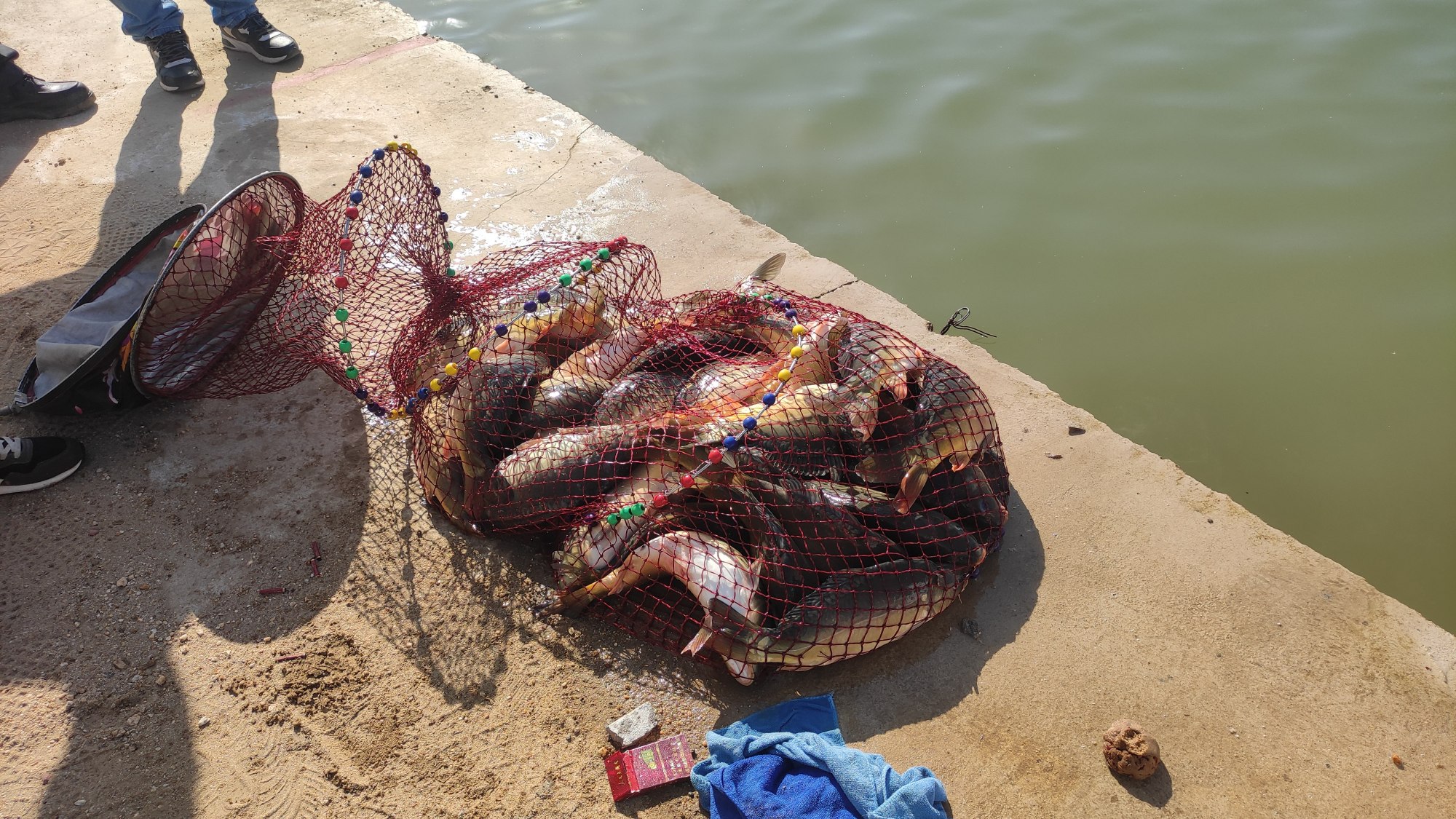 长江|事实证明小药不是神药，不用小药也能爆护！您还在花冤枉钱吗？