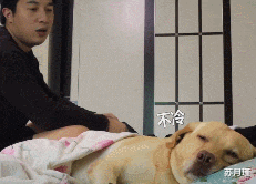 苏月瑾|“明明有价格表，为什么还是有人问价格？”