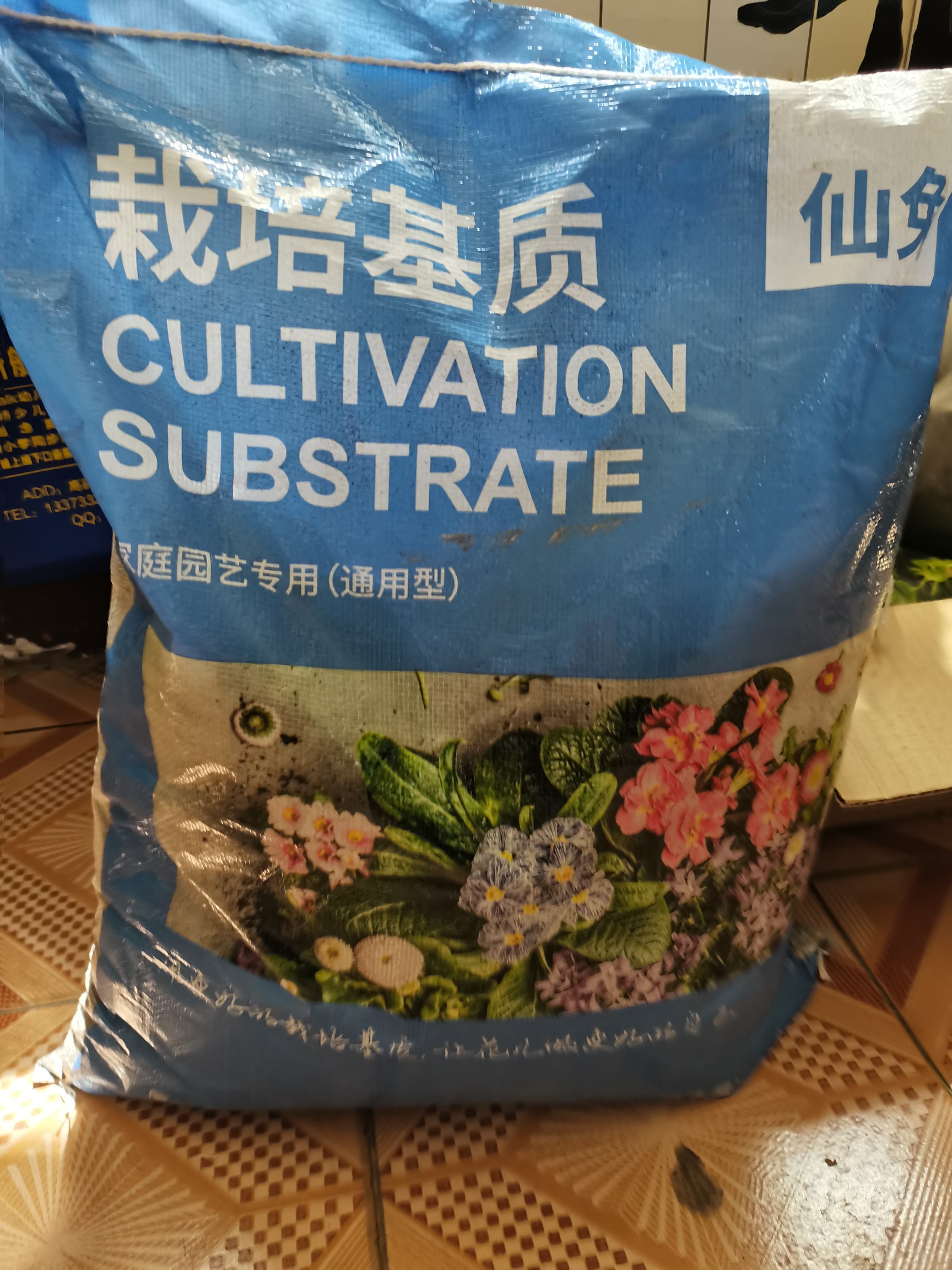 |预算8万，改造170㎡别墅“沙漠植物懒人花园”，太有创意了
