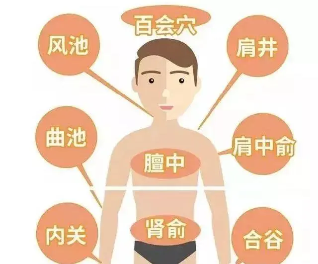 穴位|详解人体各穴位位置及功效!
