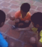  “北大石狮子被人偷袭砍成重伤！到底是何人所为？”