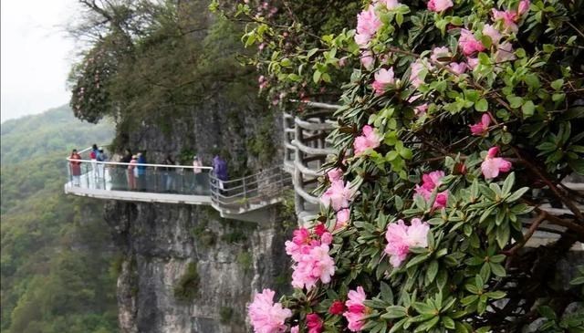 陕西 陕西一憋屈山脉，总被说成四川的，景美人少，大多数陕西人没去过