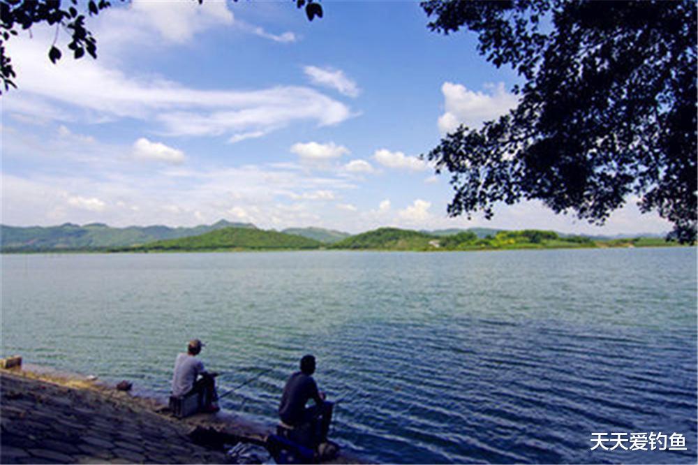 饵料|夏季钓鱼，技巧上有诸多变化，技巧跟着节气走，收获肯定差不了！