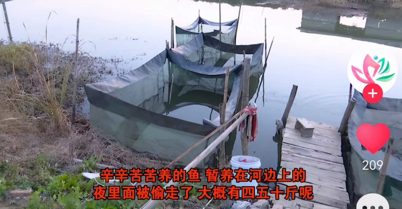 大板|江苏一个垂钓爱好者被抓，行为令钓友们汗颜，纷纷表示不配做钓鱼人