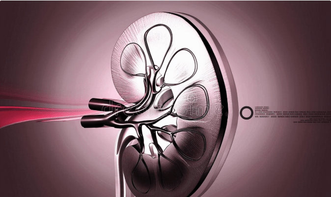 肾衰竭|肌酐升高后如何减缓肾衰竭？稳住2项指标很关键，结果不会差