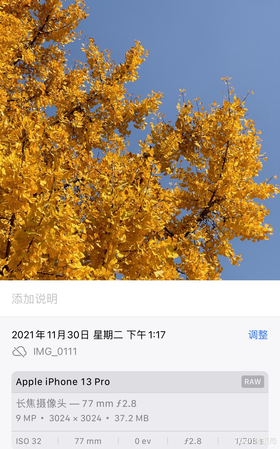iPhone|?当ProRaw遇上冬日银杏，别再说iPhone拍照不行了！